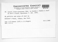 Image Associated With the Occurence